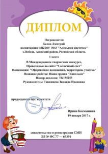 Тавинцева-Белов 1место 19.01.17г.