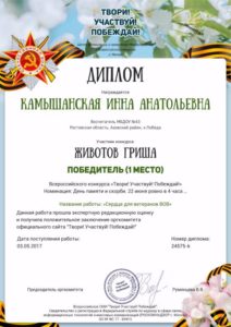 Инна Ан.+Гриша 1место 03.05.17_1