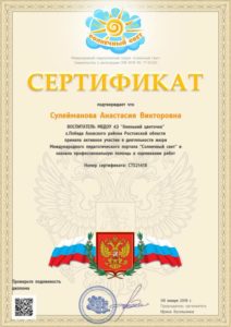 Сулейманова А.В. 08.01.2018