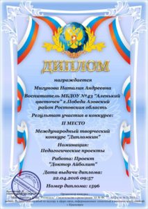 migunova-nataliya-2-mesto-prooekt-04-16g
