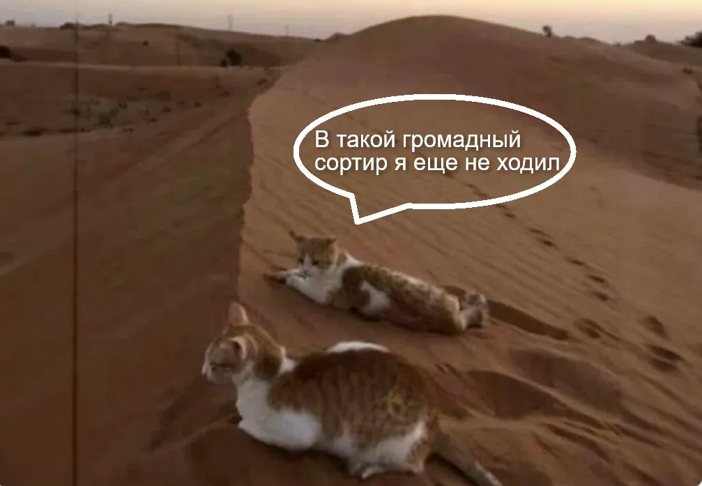 Загруженное изображение