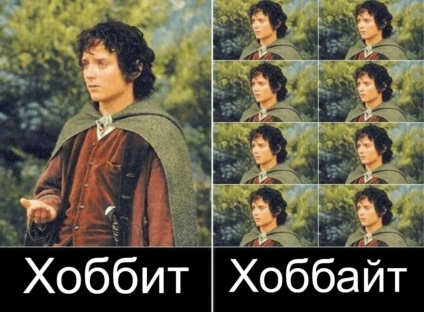 Загруженное изображение