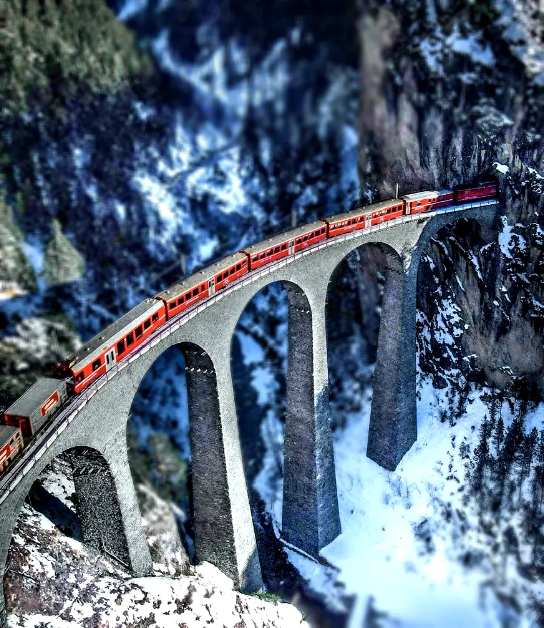 Загруженное изображение