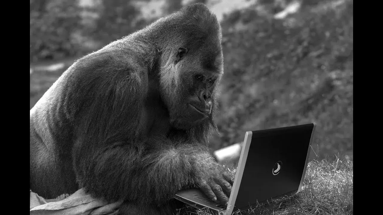 Загруженное изображение