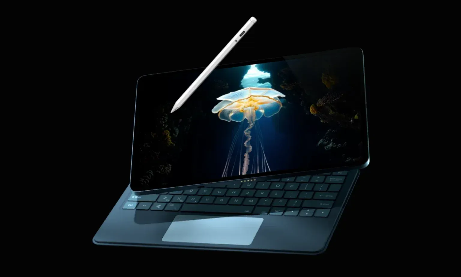 Загруженное изображение