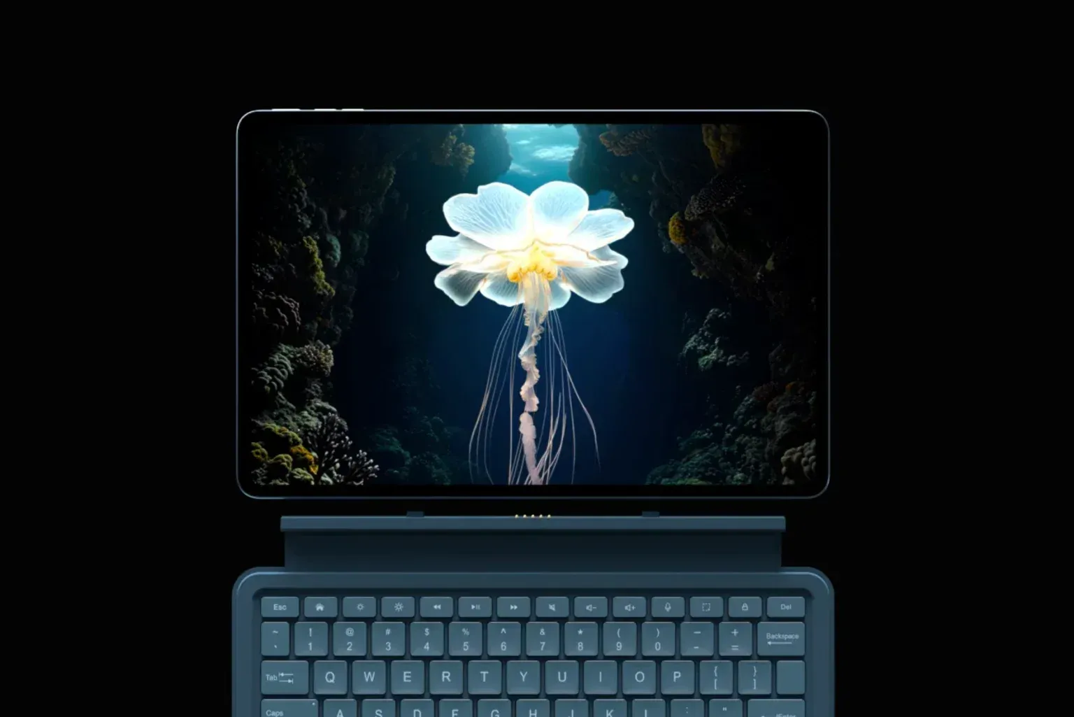 Загруженное изображение