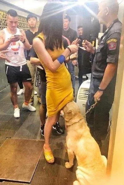 Загруженное изображение