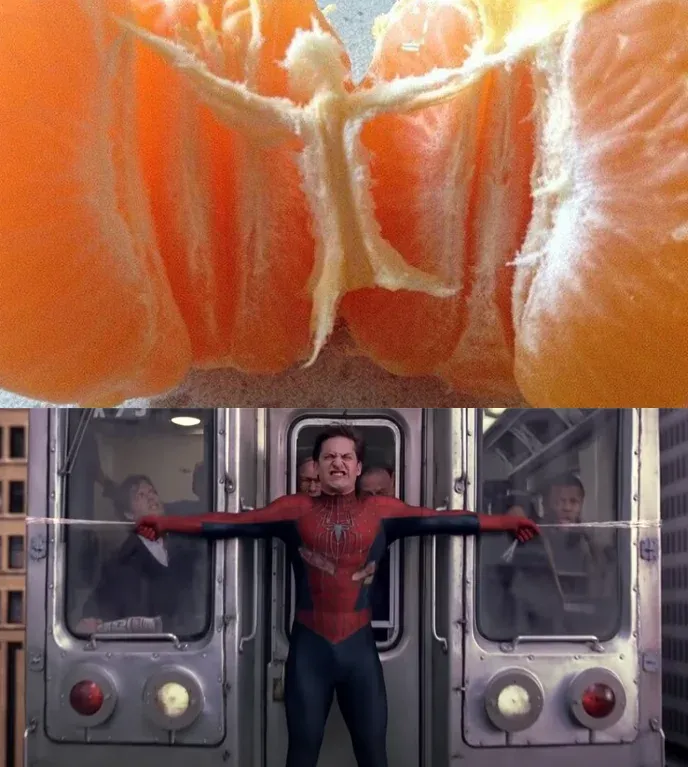 Загруженное изображение