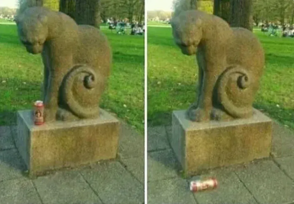 Загруженное изображение