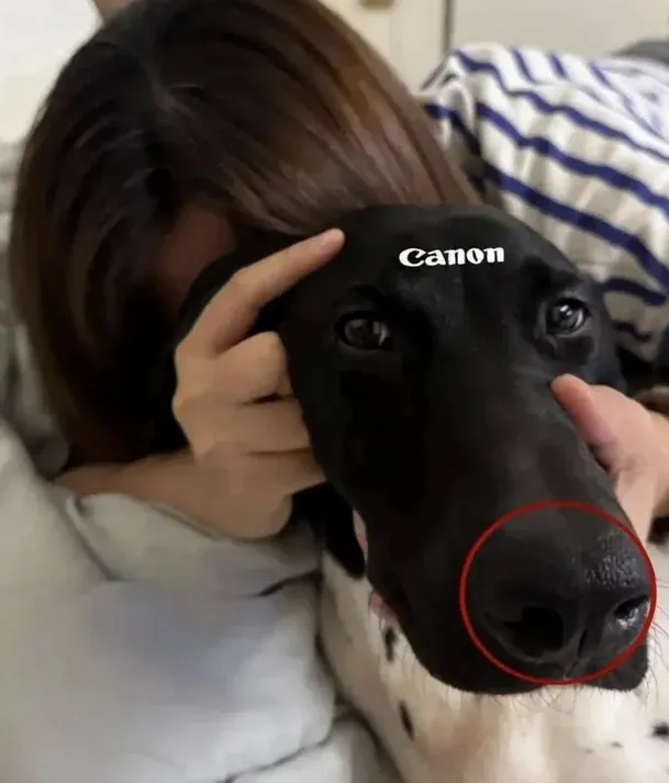 Загруженное изображение