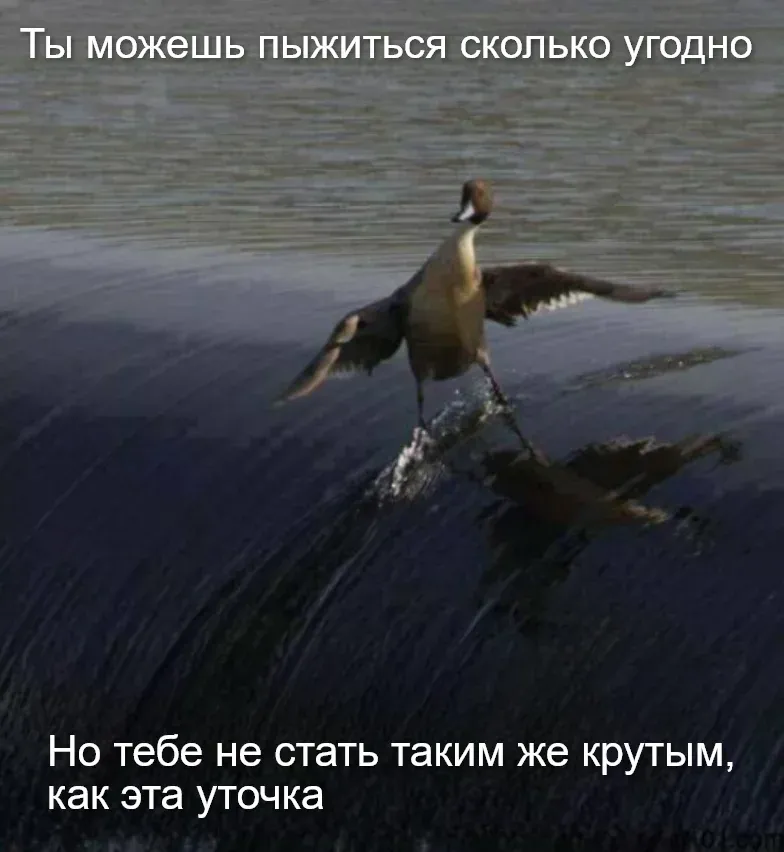 Загруженное изображение