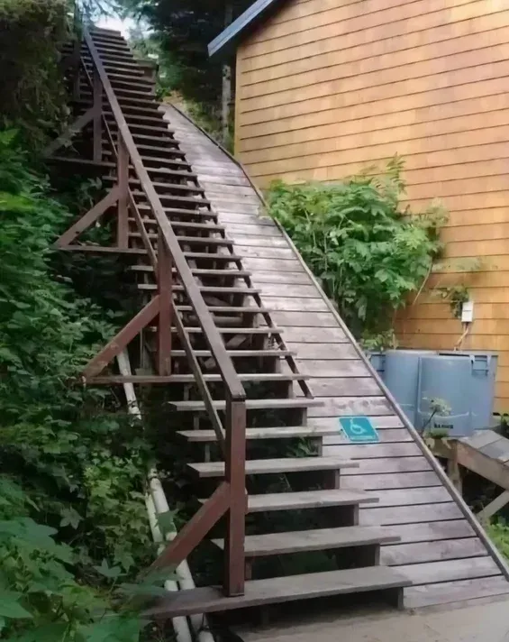 Загруженное изображение