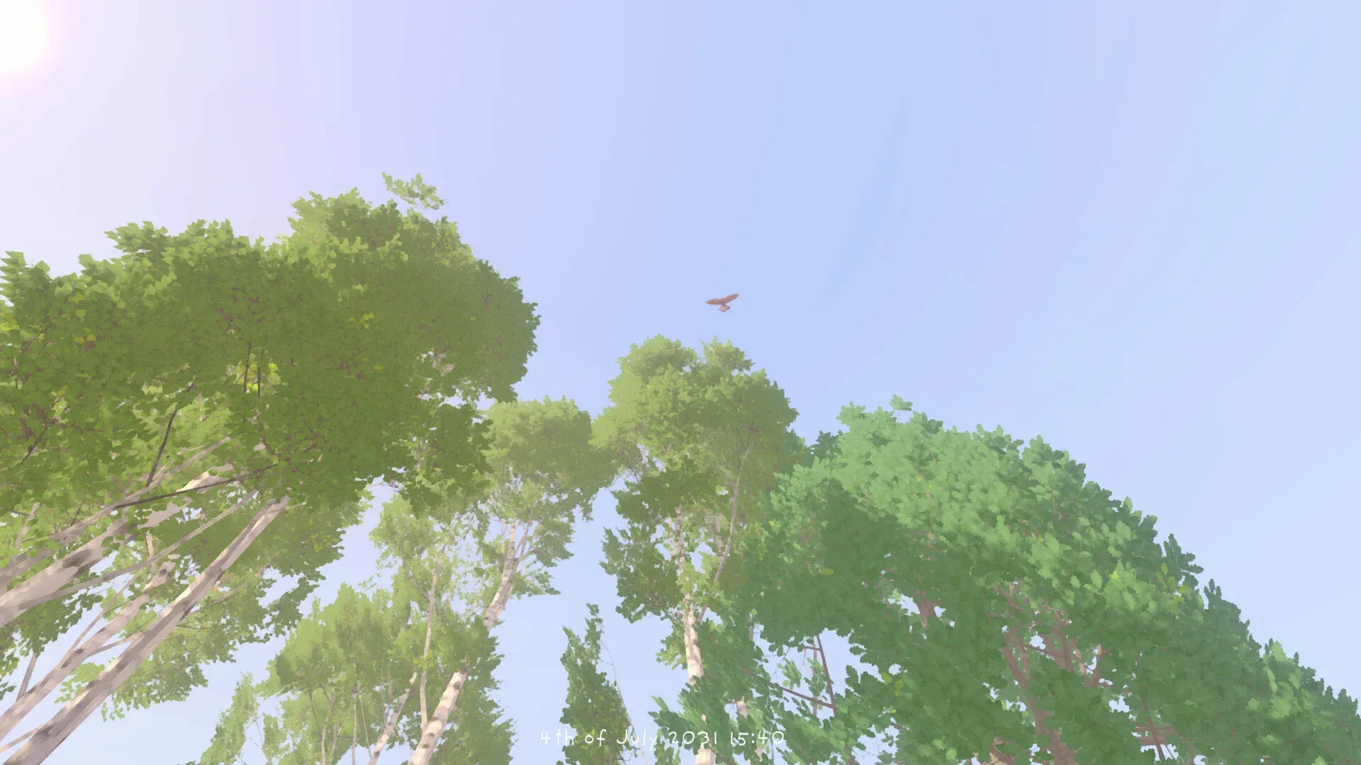 Загруженное изображение