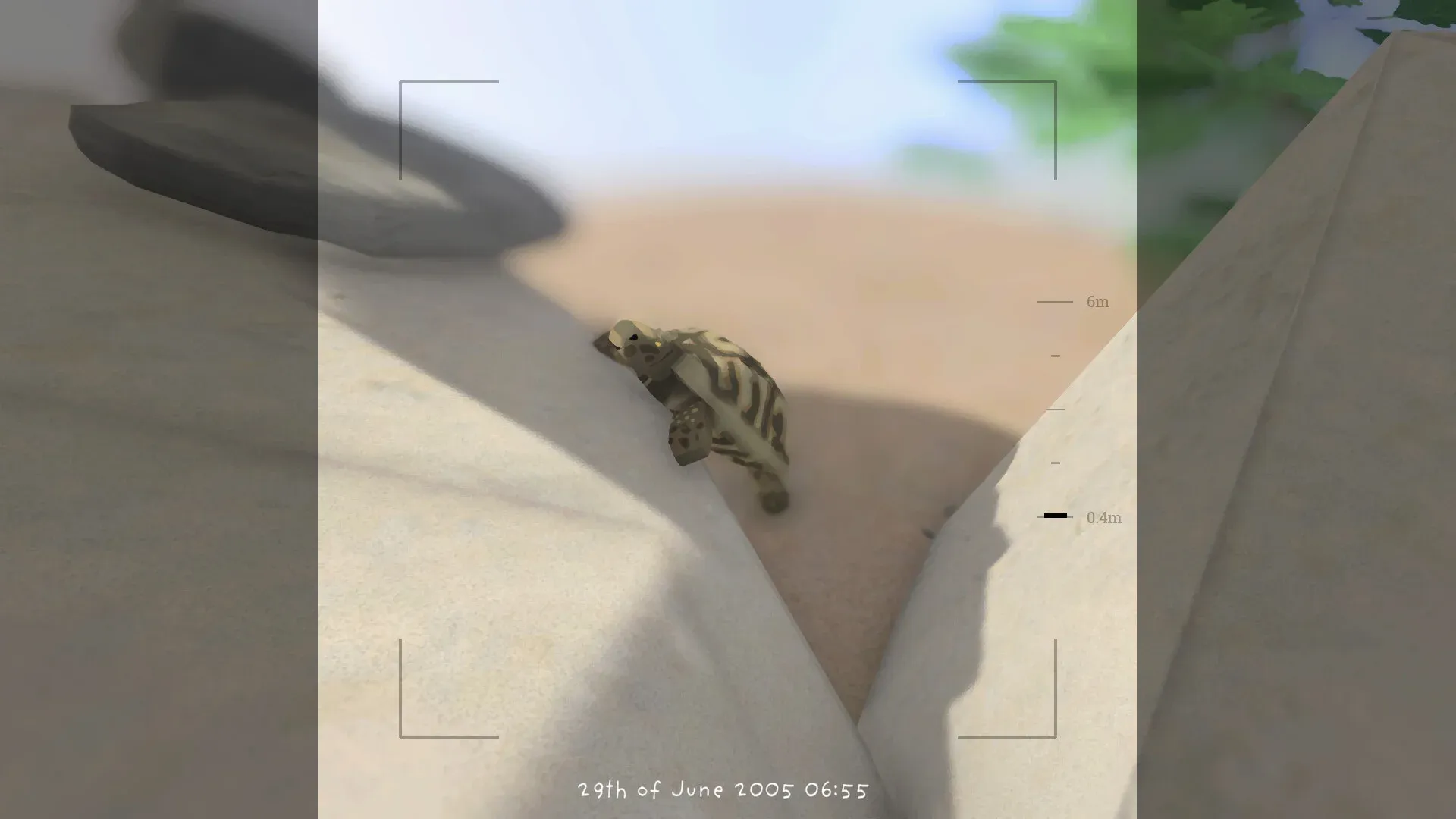 Загруженное изображение