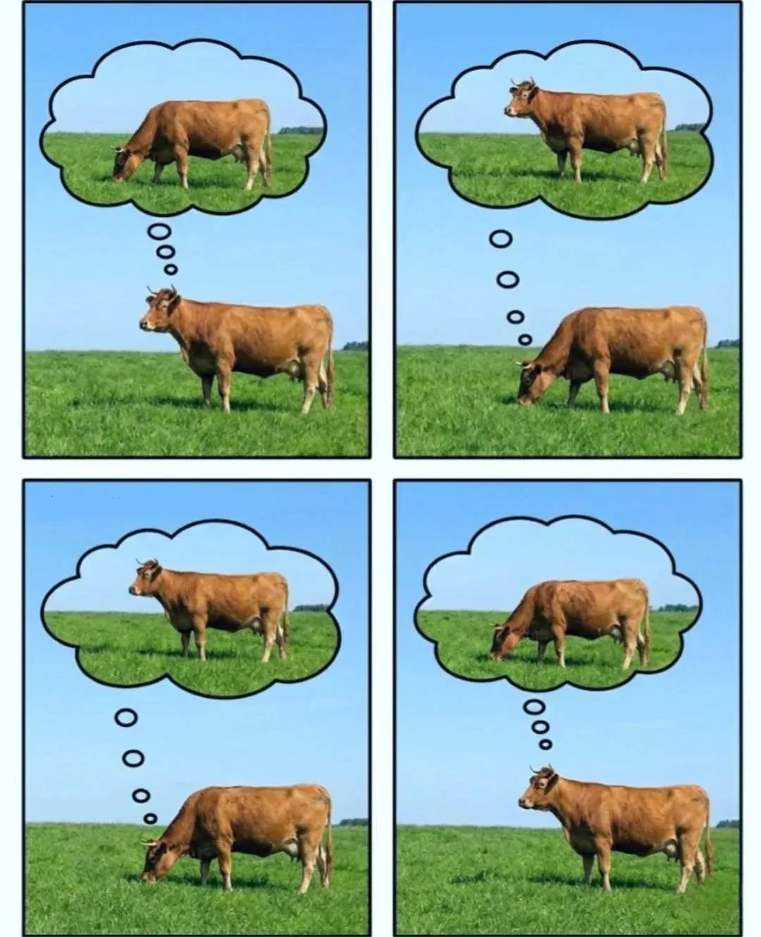 Загруженное изображение