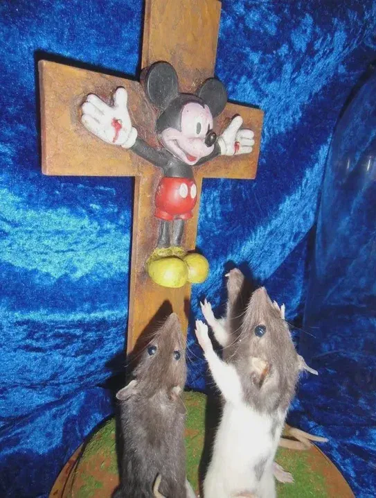 Загруженное изображение