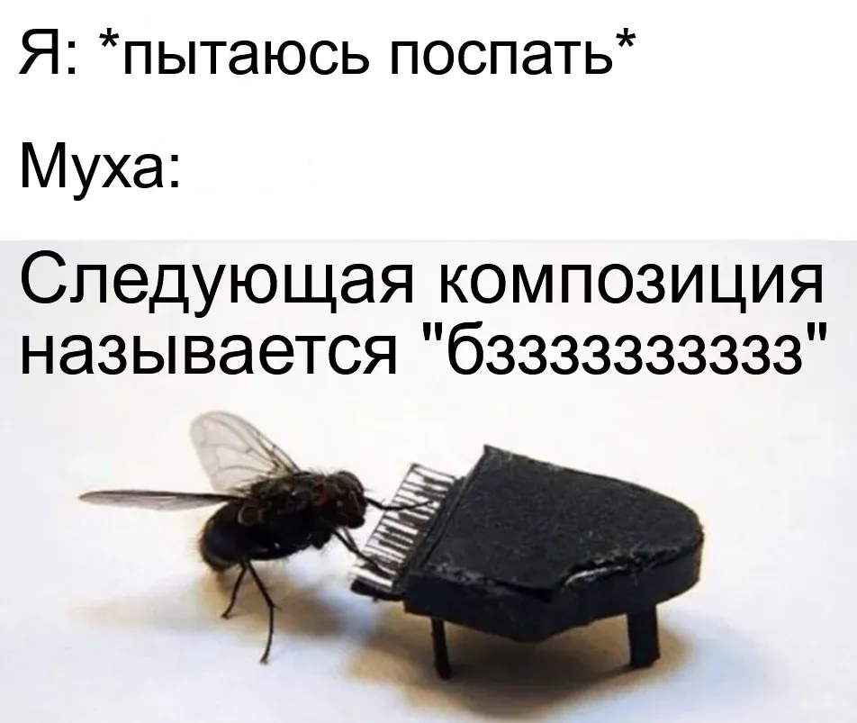 Загруженное изображение