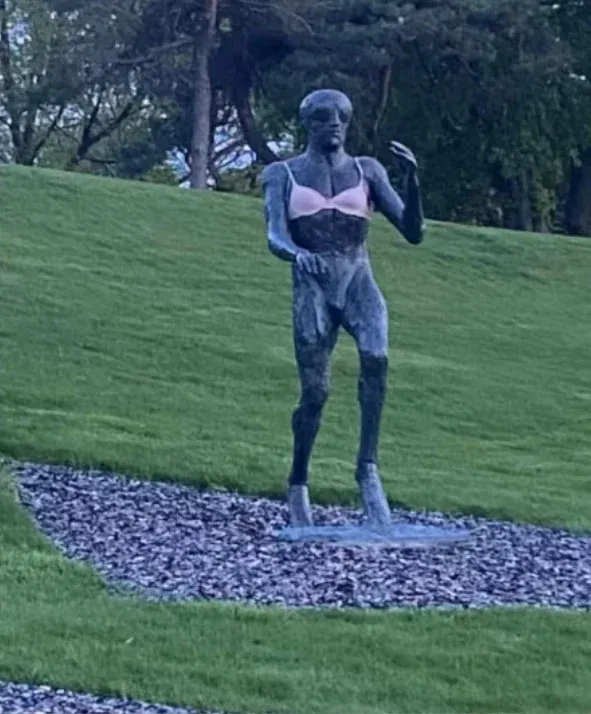 Загруженное изображение