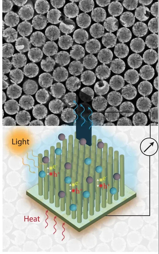 Загруженное изображение