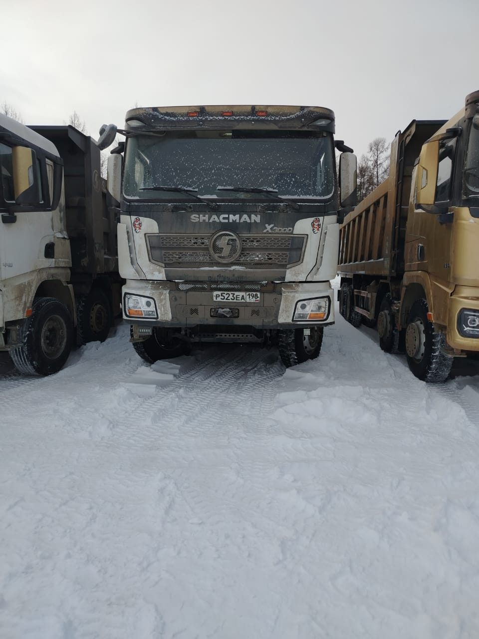 Shacman SX* 8x4 Самосвал