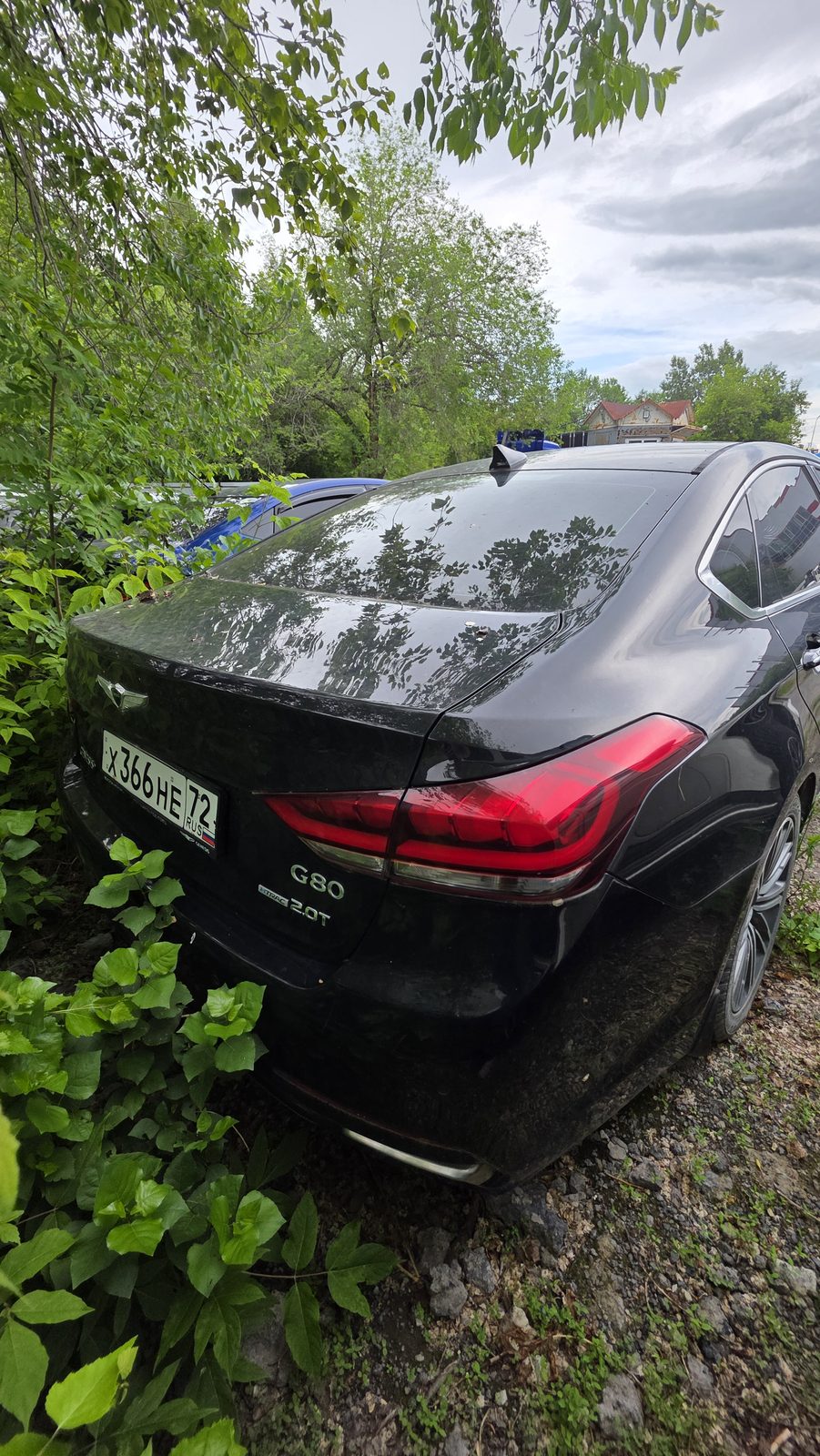 Genesis G80