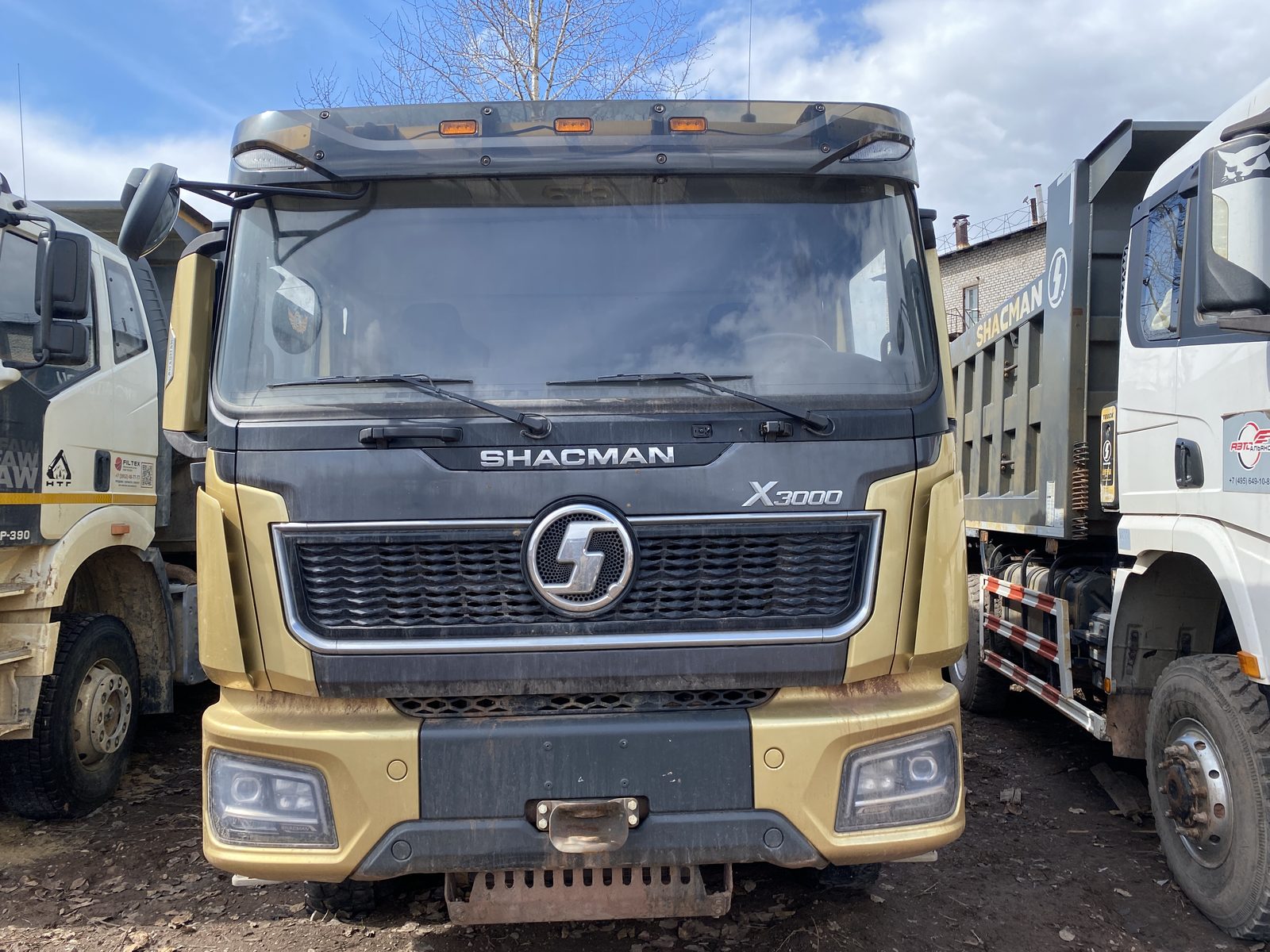 Shacman SX* 8x4 Самосвал