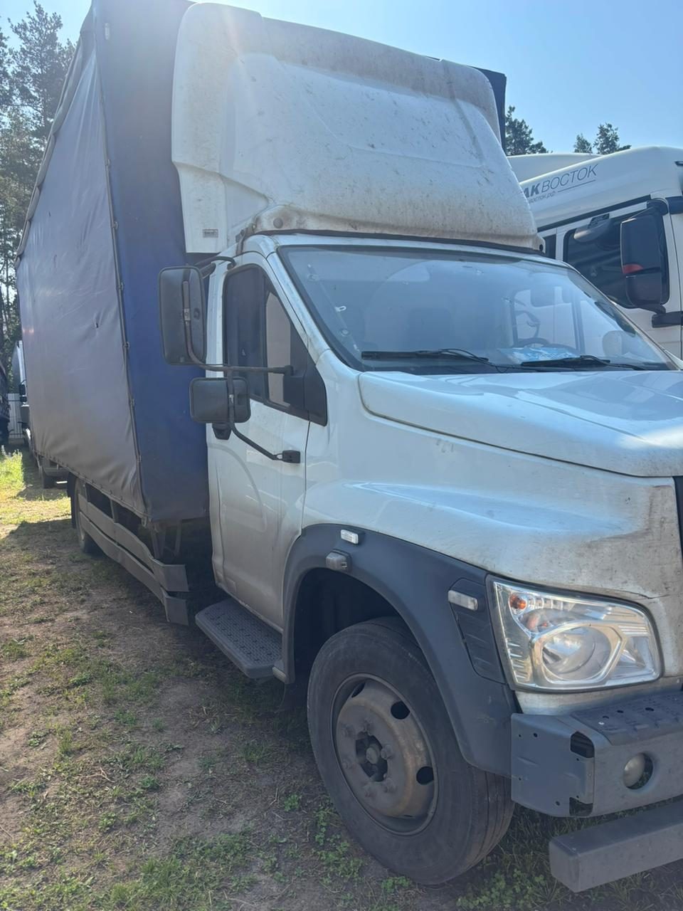 3010* на шасси GAZ GAZON NEXT Бортовой (Евроборт)_не актуально