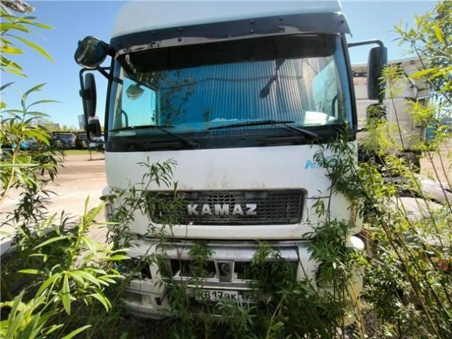КАМАЗ 5490 NEO