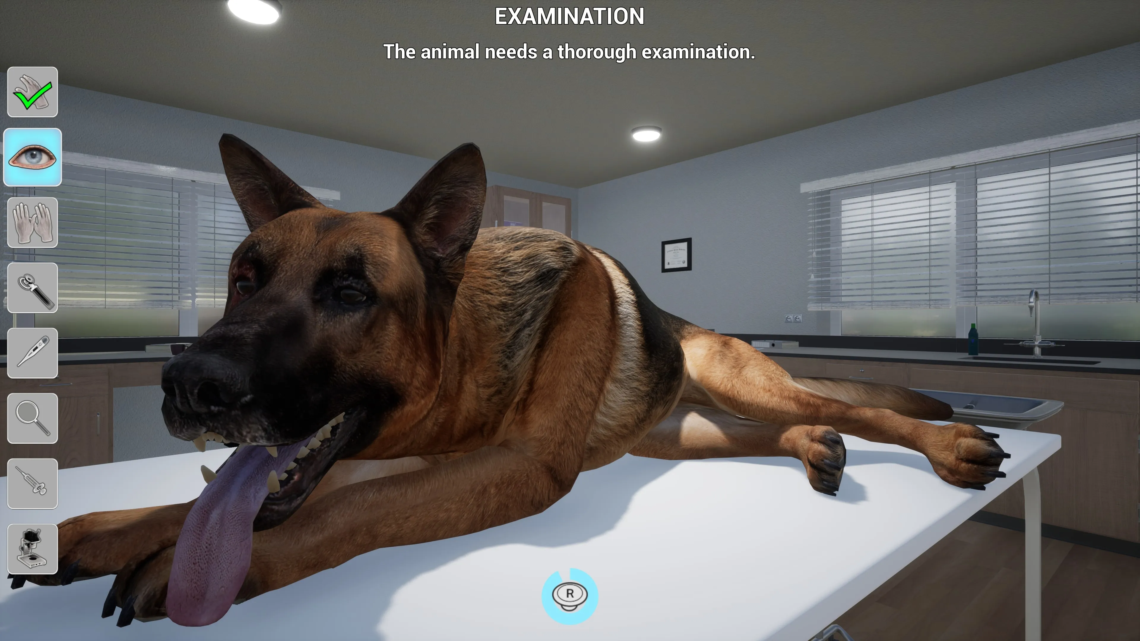 My Life: Pet Vet [PS5] - изображение 3