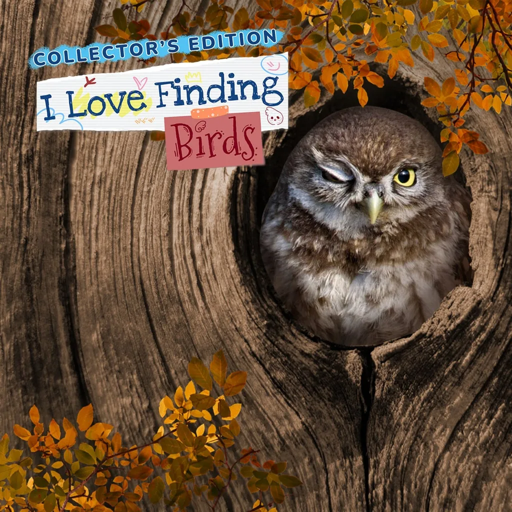 I Love Finding Birds Collector's Edition [PS5] - изображение 1