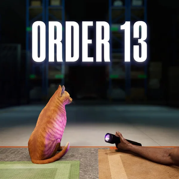 Order 13 [PS5]