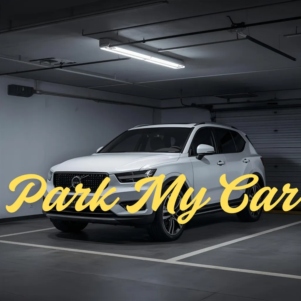 Park my car [PS5] - изображение 1