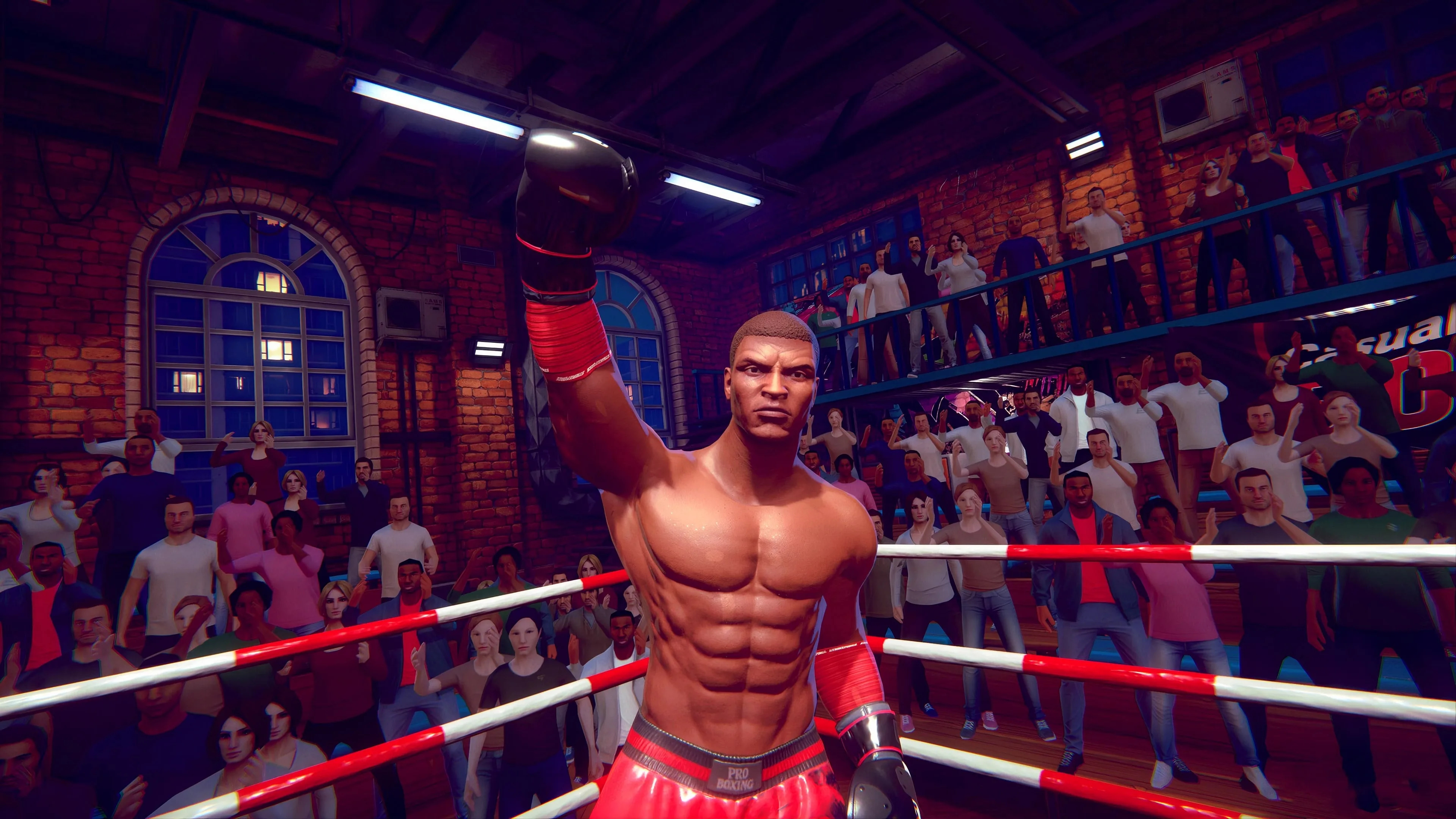 Casual Sport Series: Boxing [PS4] - изображение 3