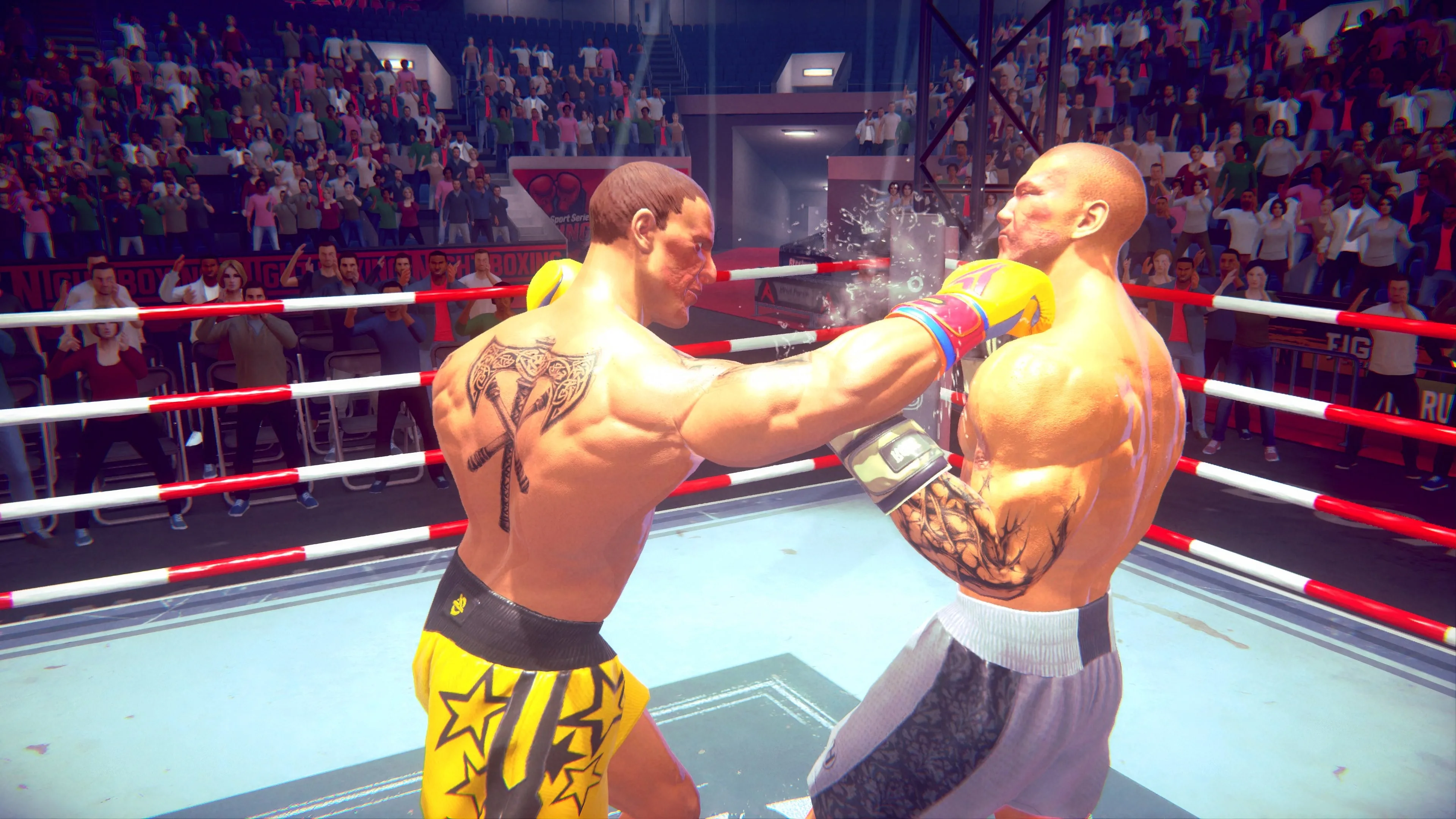 Casual Sport Series: Boxing [PS4] - изображение 2