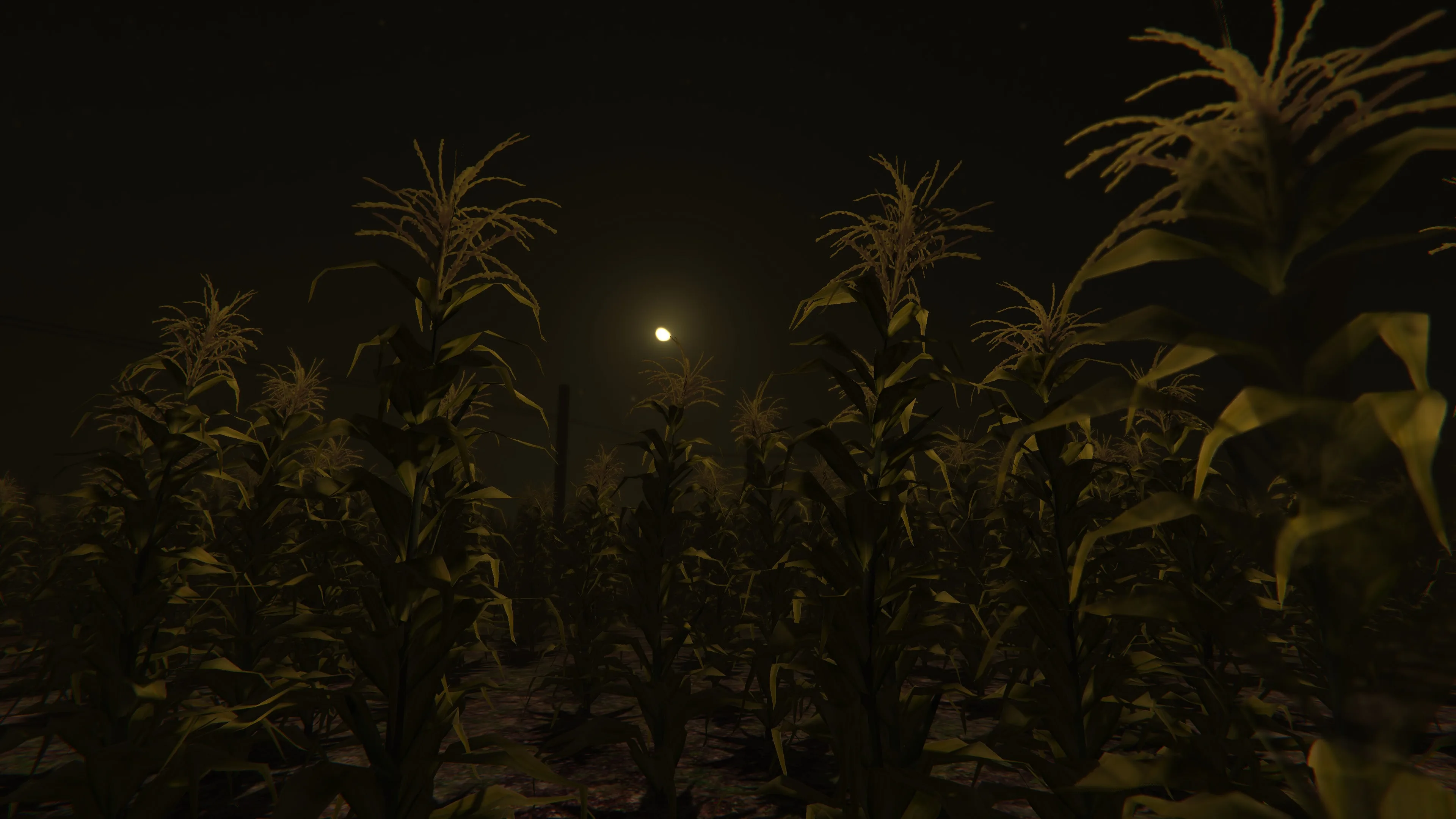 Cornfield [PS5] - изображение 4