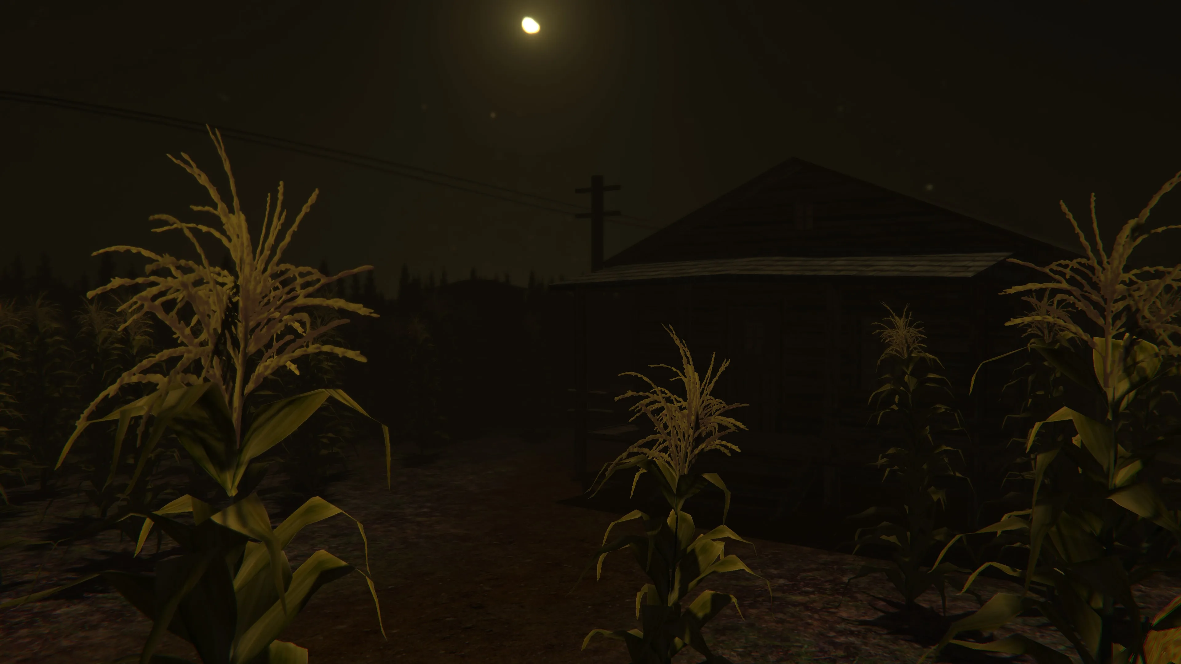 Cornfield [PS5] - изображение 2
