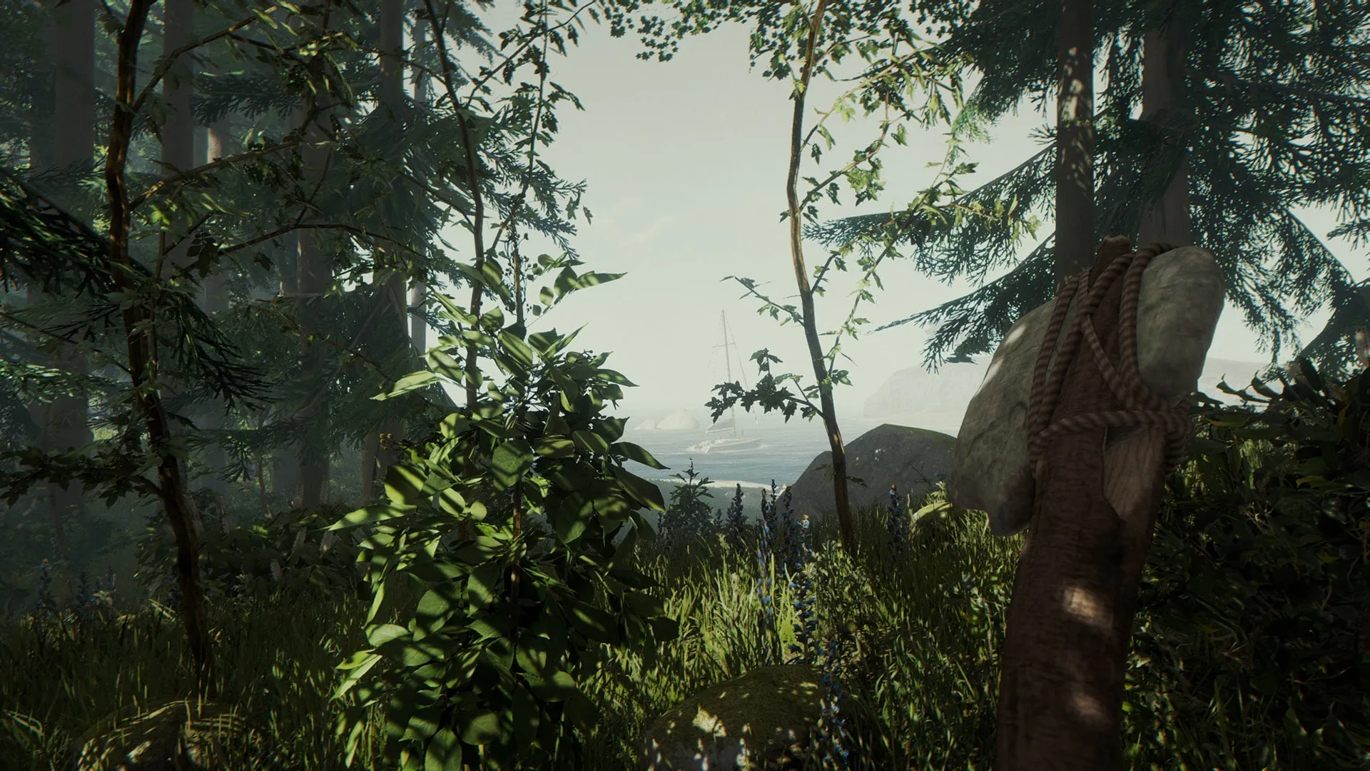 The Forest [PS4] - изображение 4