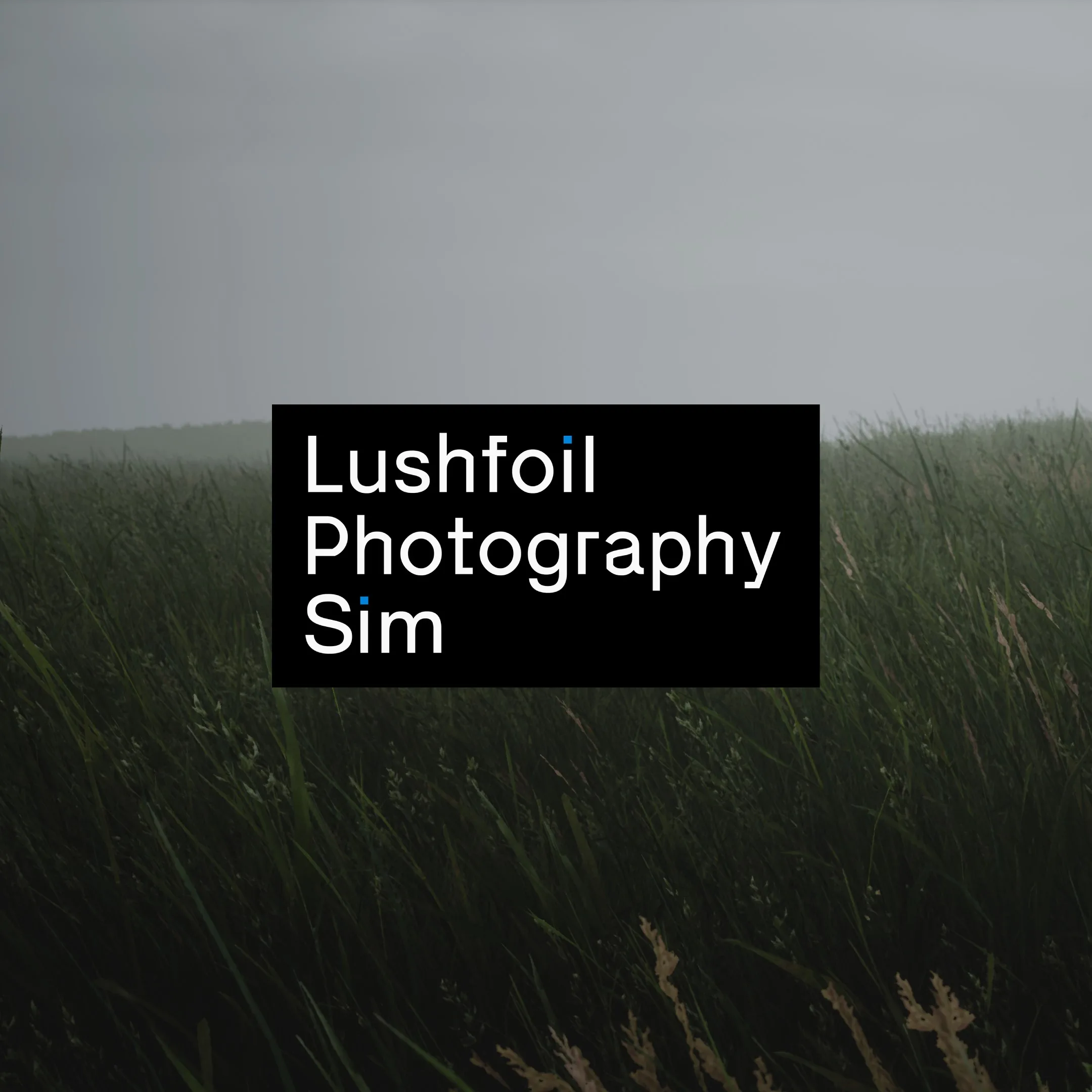 Lushfoil Photography Sim [X|S] - изображение 1