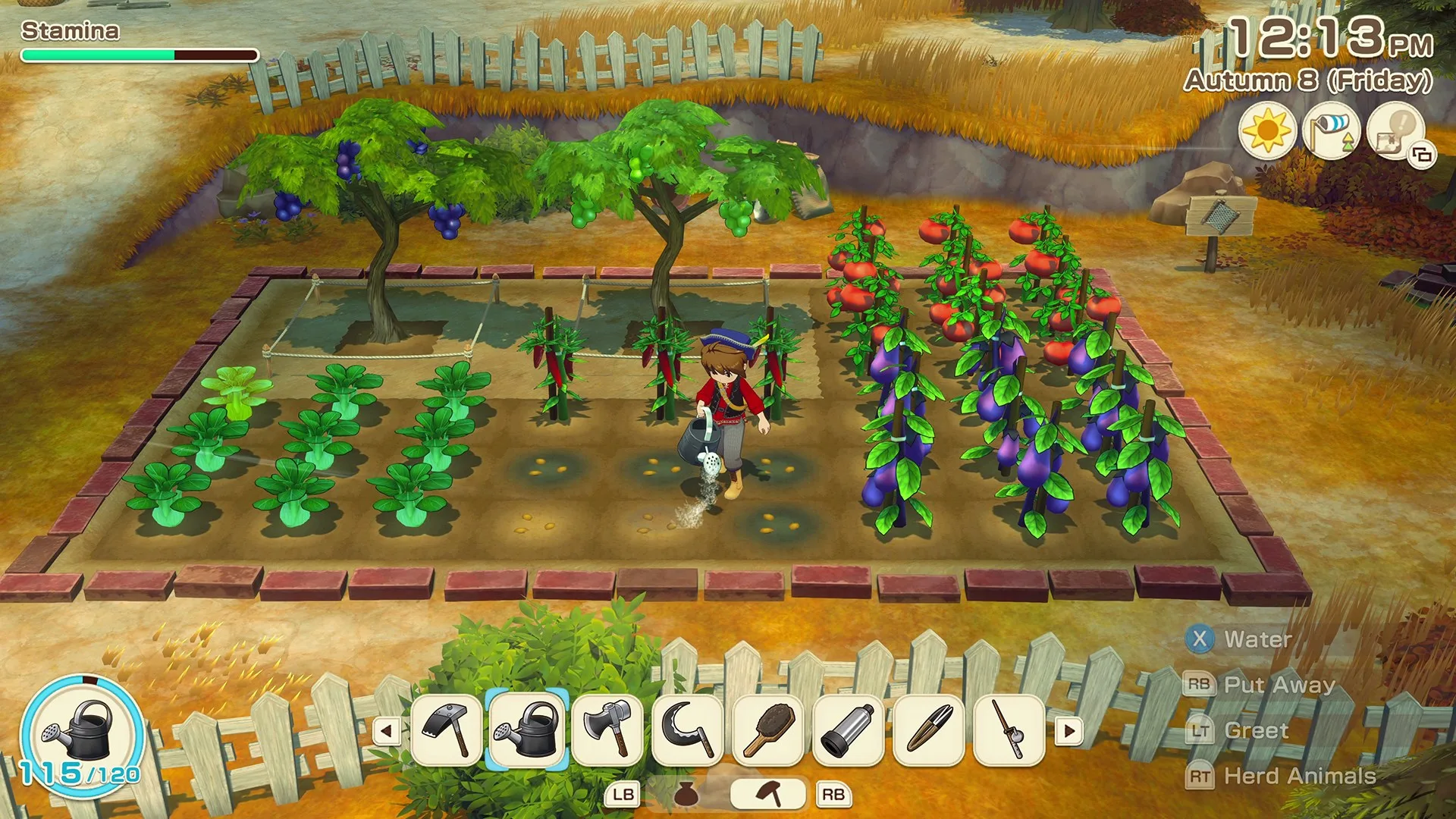 Story of Seasons: Grand Bazaar Digital Deluxe [X|S] - изображение 3