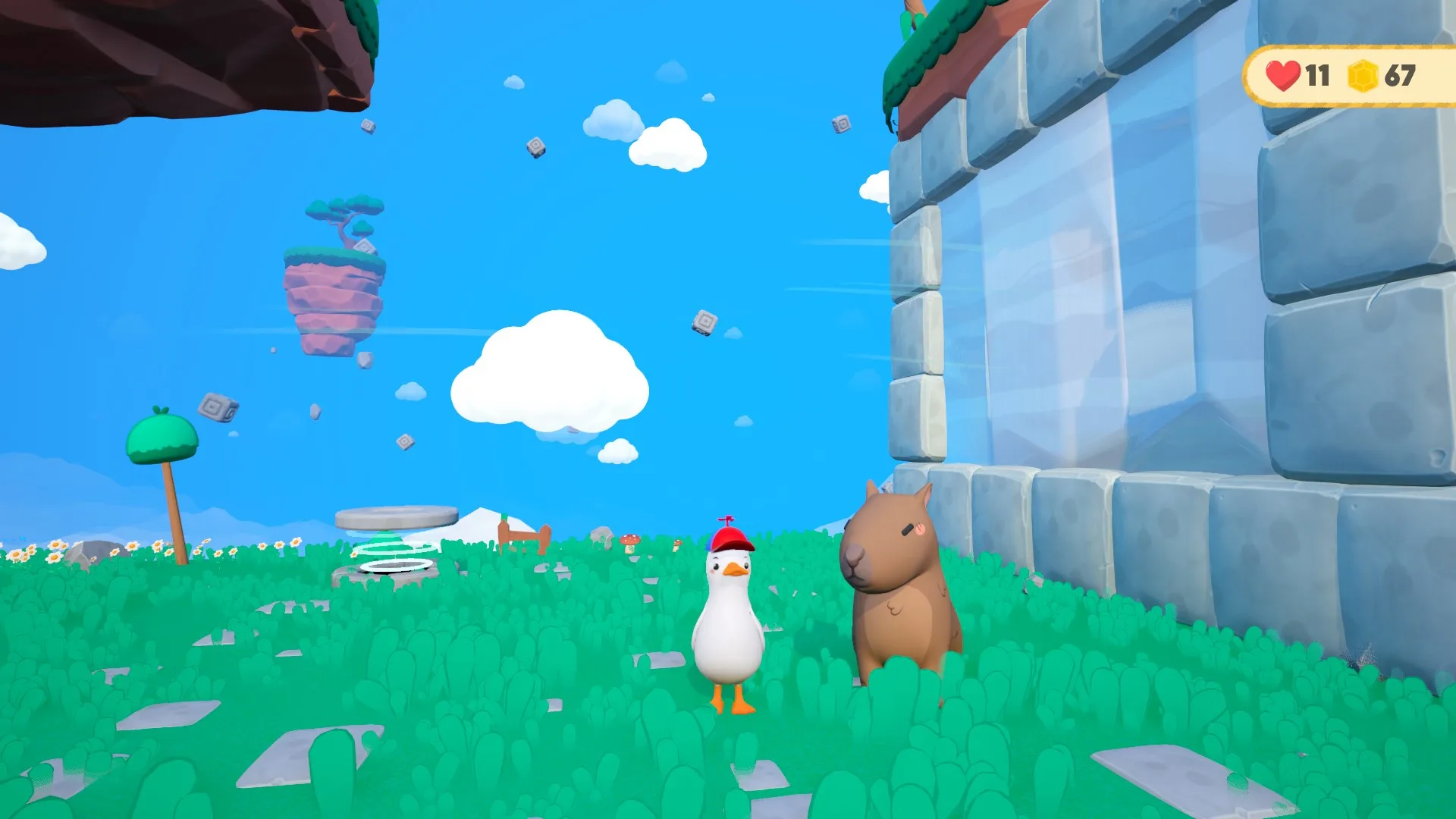 Dodo Duckie [X|S] - изображение 3