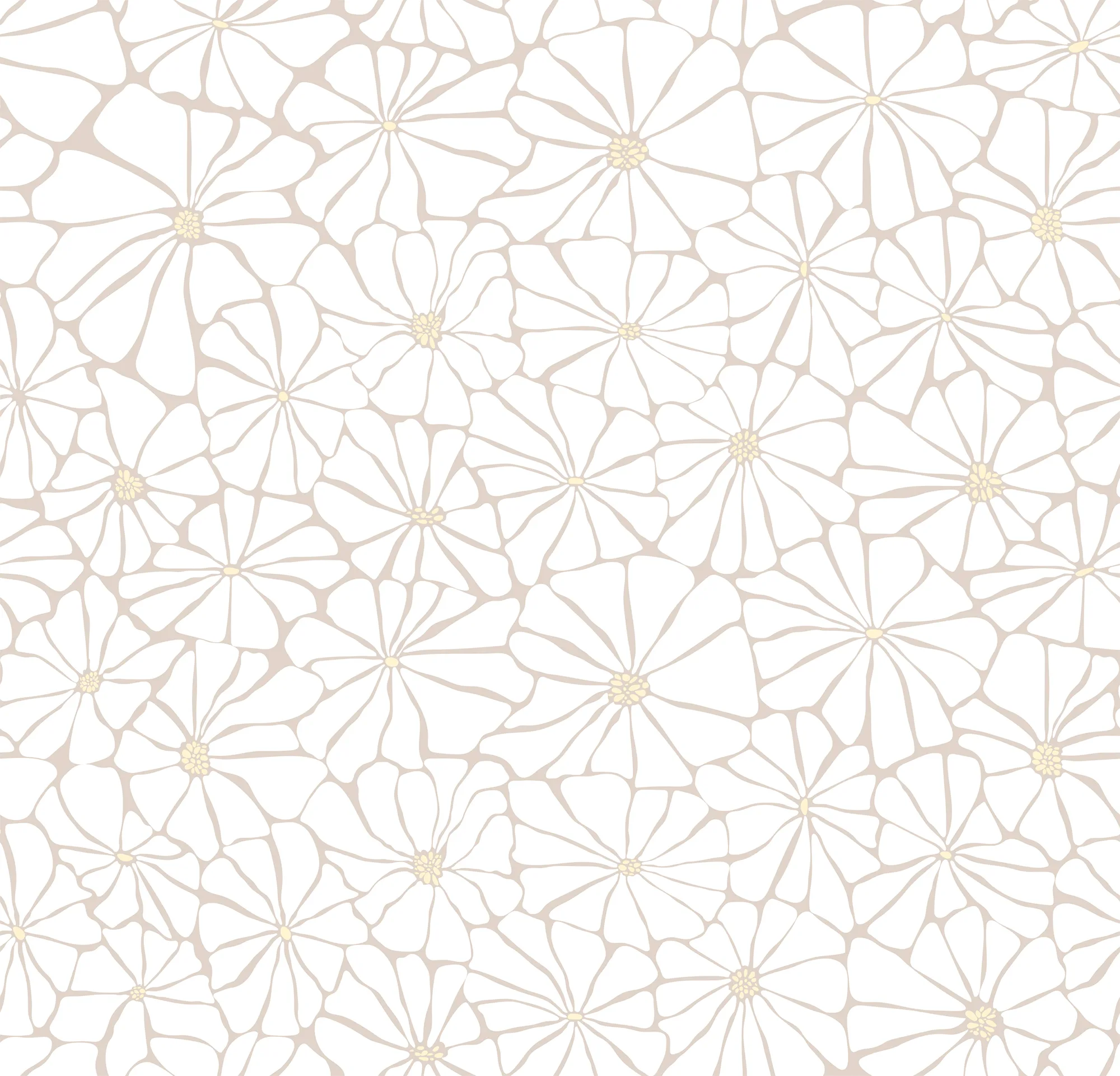 Фотообои Creativille CV-054203 (Daisies 054203)