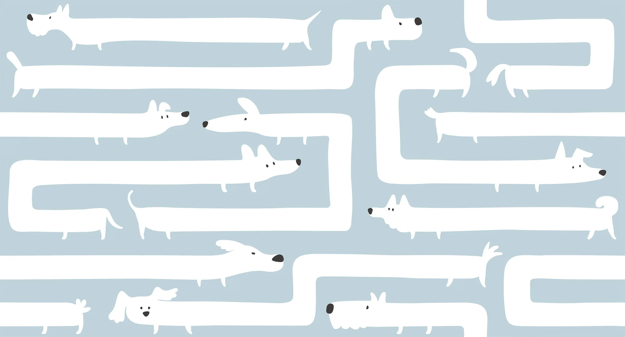 Фотообои Creativille CV-057203 (Doggy maze 057203)