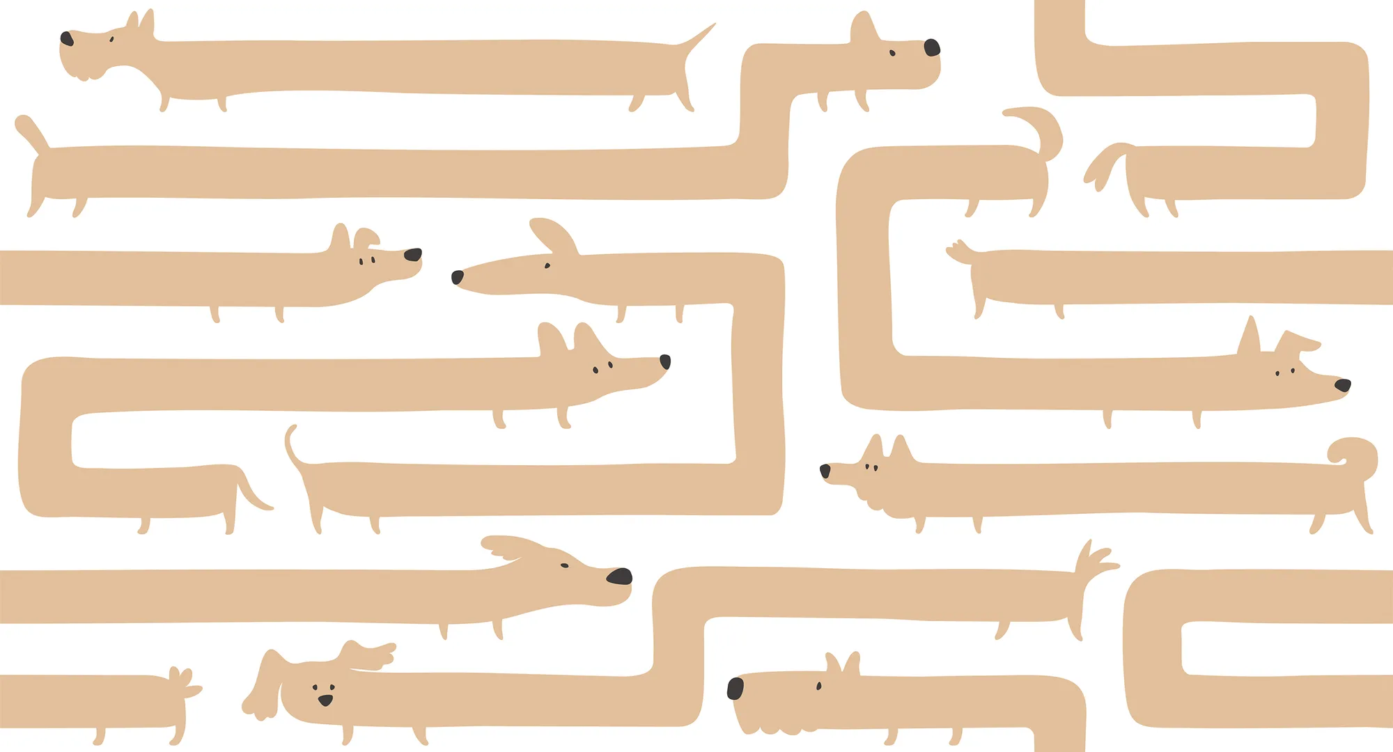Фотообои Creativille CV-057231 (Doggy maze 057231)