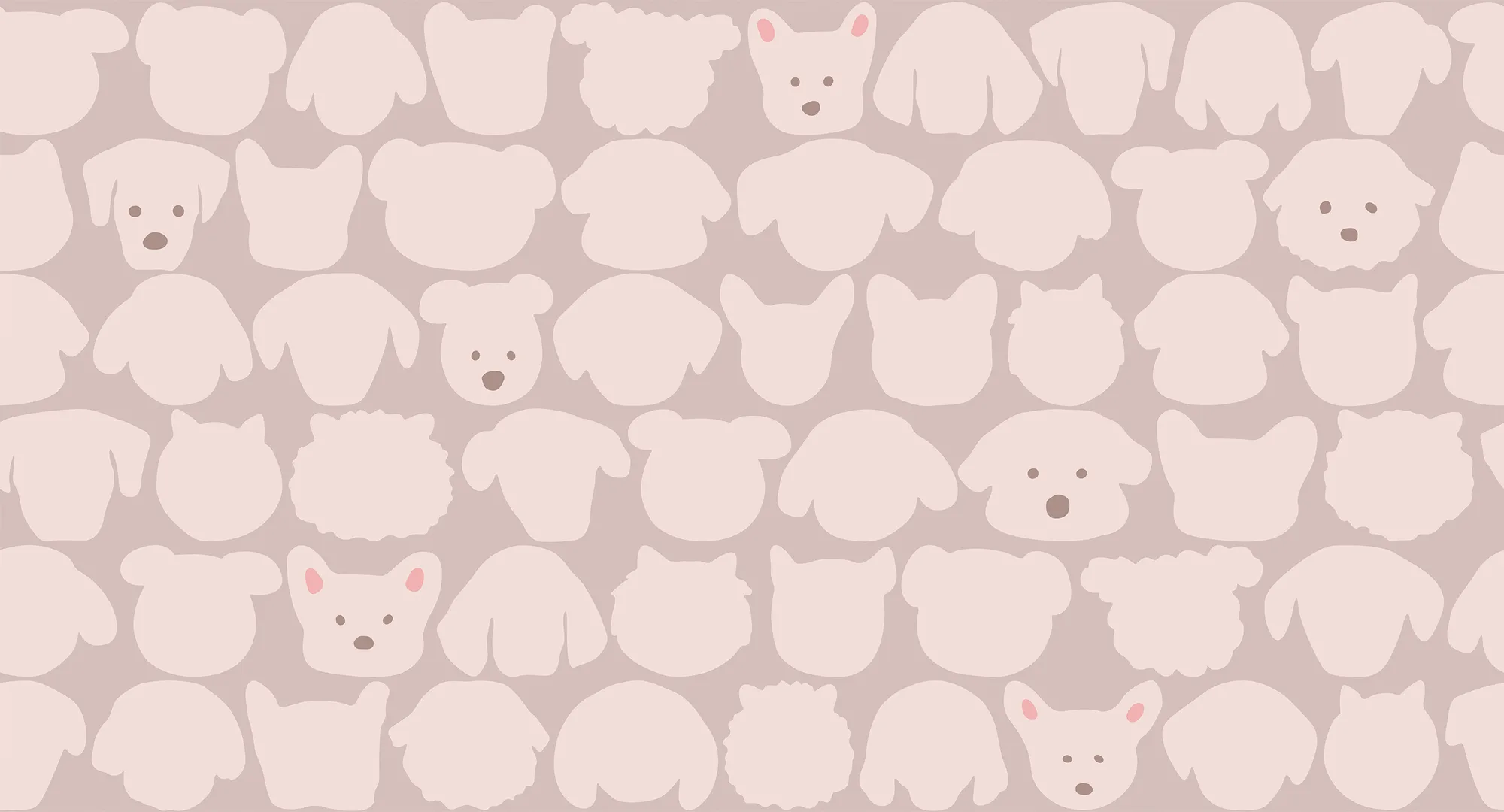 Фотообои Creativille CV-071512 (Dog faces 071512)