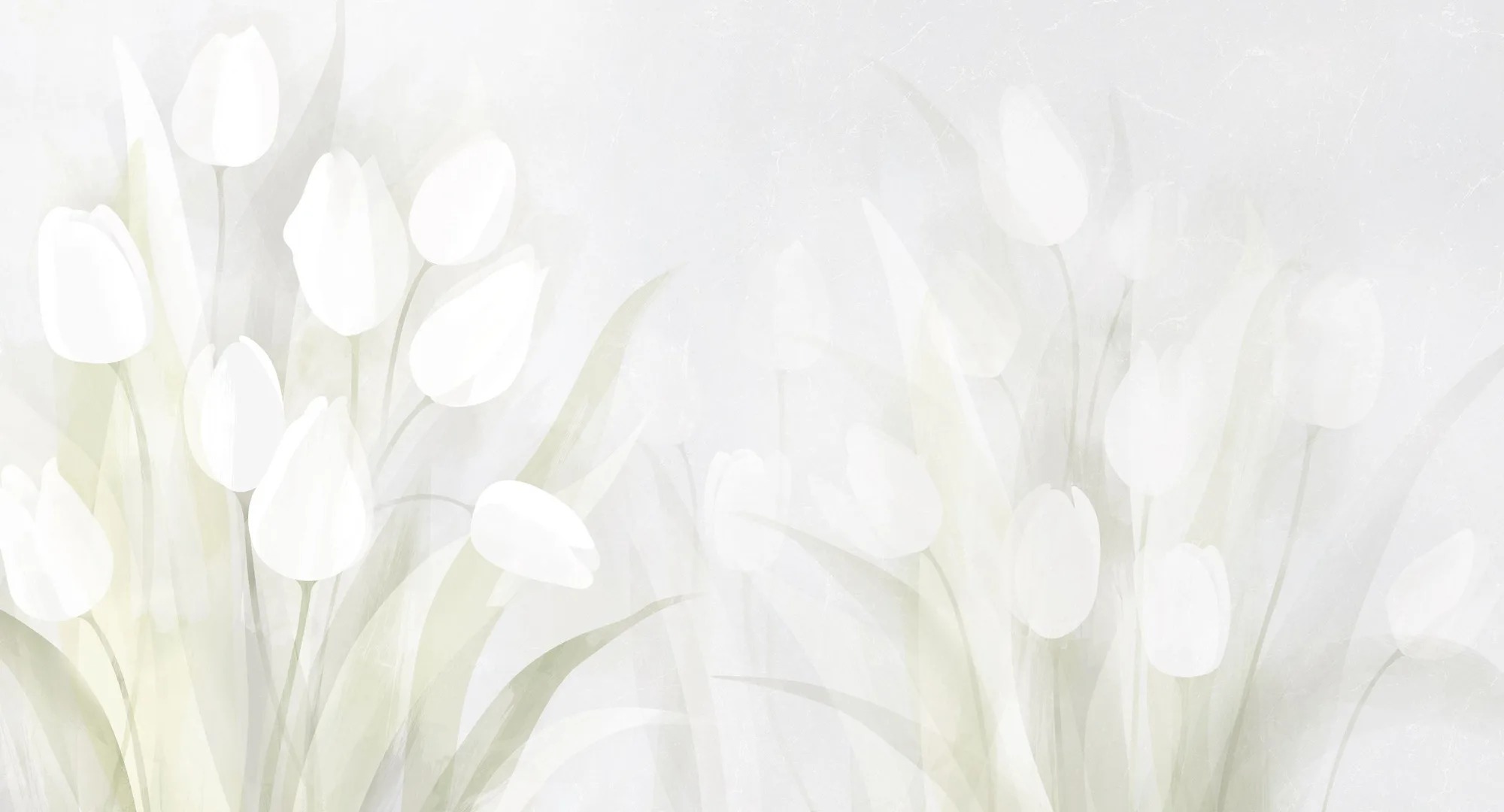 Фотообои Creativille CV-180100 (Watercolor tulips 180100)