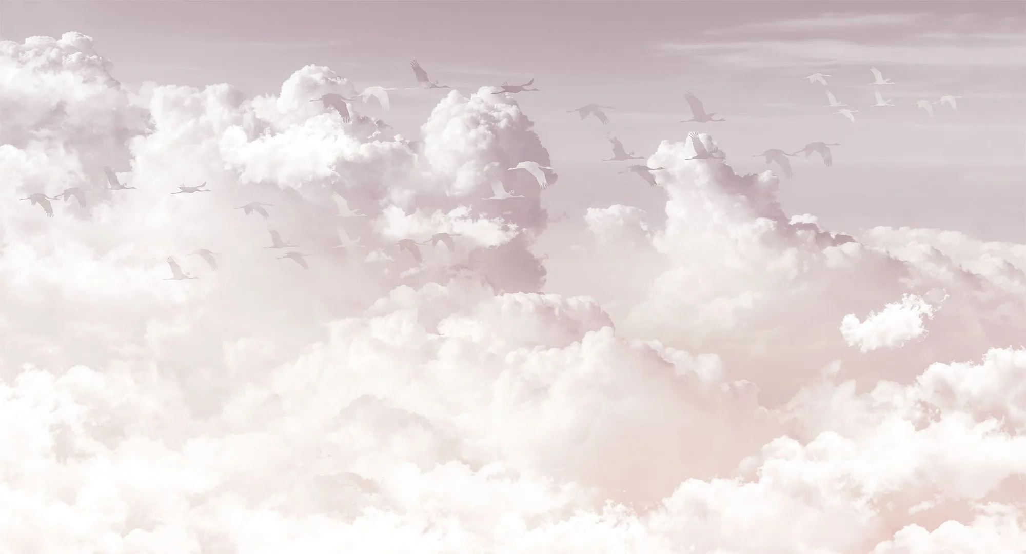 Фотообои Creativille CV-275227 (Clouds and birds 275227)