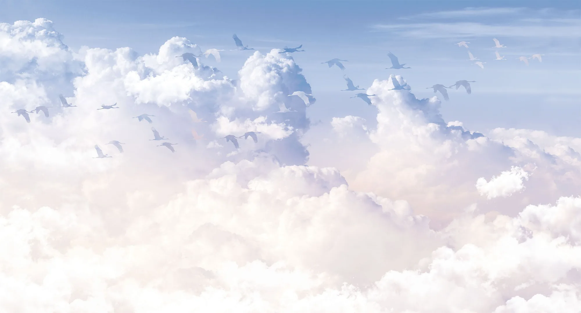 Фотообои Creativille CV-275228 (Clouds and birds 275228)