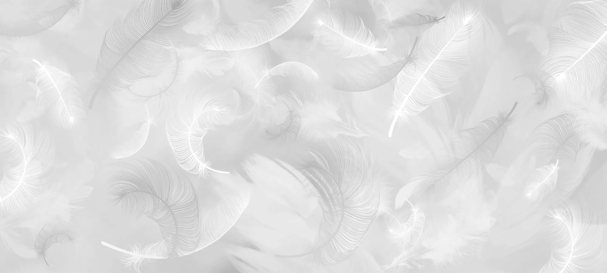 Фотообои Creativille CV-400055 (Feathers 400055)