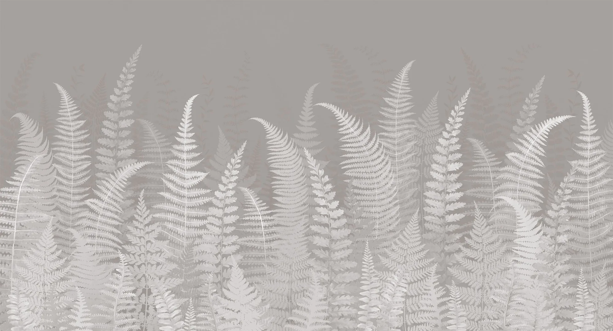 Фотообои Creativille CV-422351 (White leaves of fern 422351)