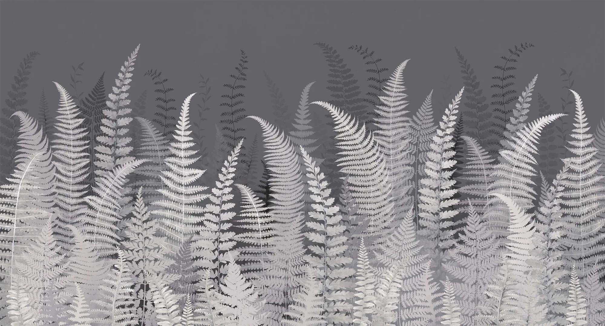 Фотообои Creativille CV-422365 (White leaves of fern 422365)